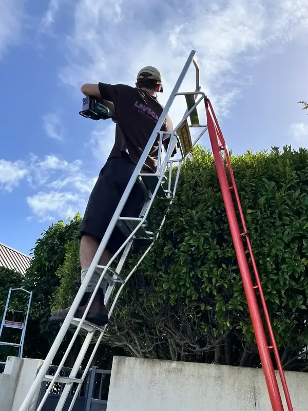 Lavscapes Project 1