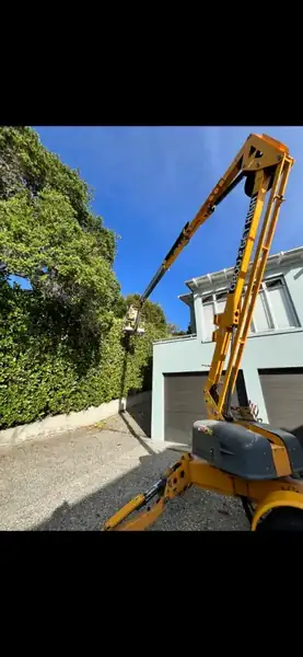 Cherry picker hedge trimming Auckland