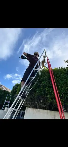 Hedge trimming from ladder by Lavscapes team