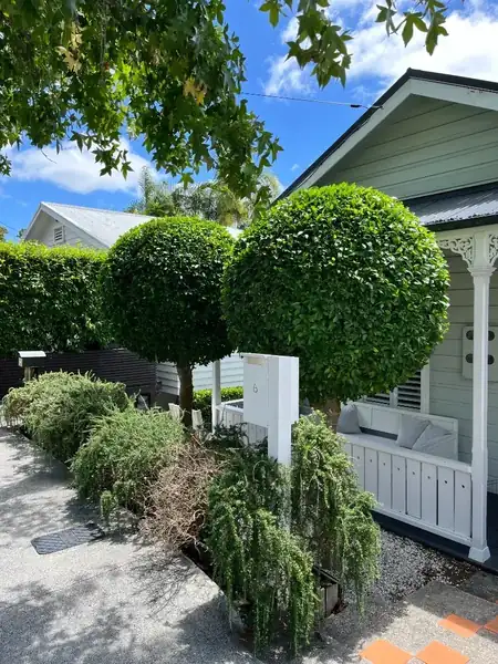 Topiary and ornamental hedge shaping by Lavscapes Auckland