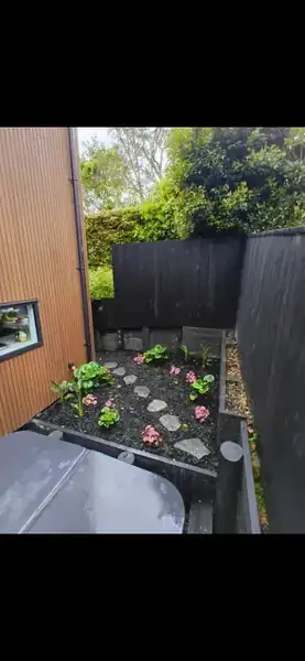 Mature garden bed with vibrant planting