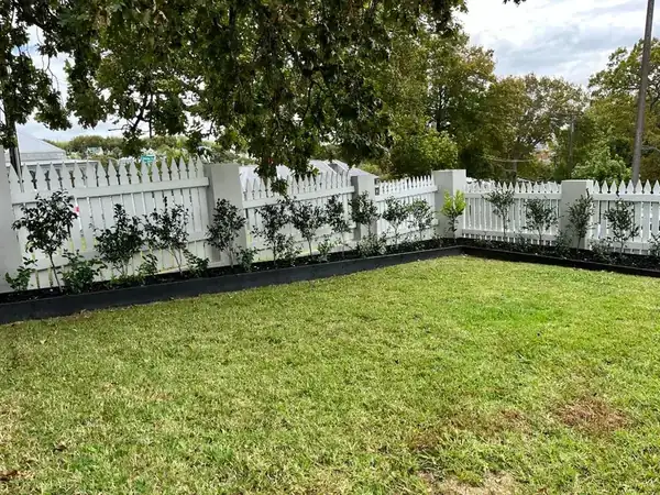 Garden border planting with new lawn